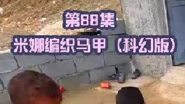 米娜建造羊圈编织马甲（科幻版）