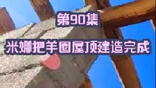 米娜给萨姆德织好了围脖