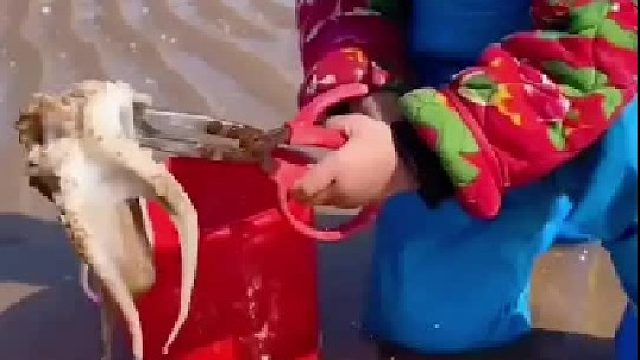 带你去体验渔民的生活