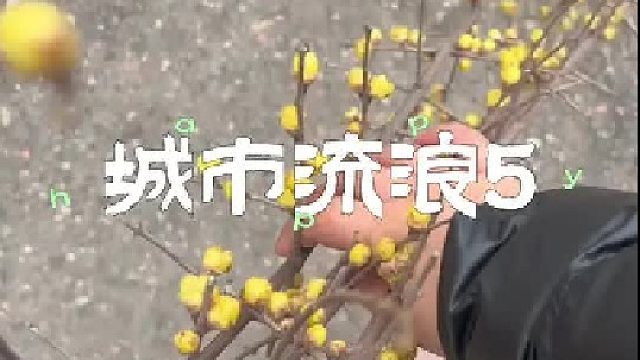 冬天的生日宴准备好了