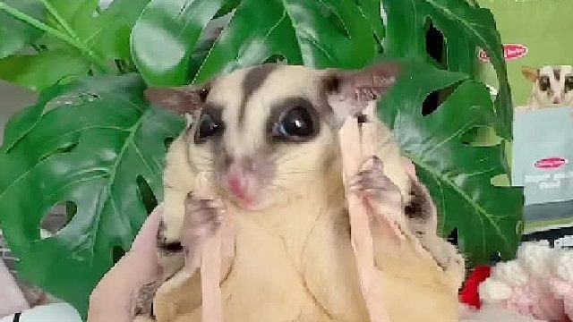 这样能吃得多一点吗？？？