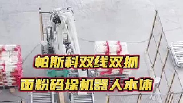帕斯科双线双抓面粉码垛机器人