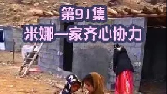 米娜一家齐心协力建造羊圈收拾木材