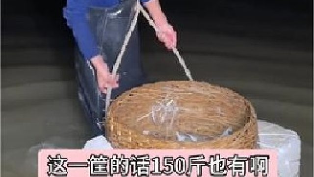 户外赶海抓海鲜