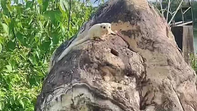 喜欢简单的事，快乐的人，明媚的夏天和阳光的你。