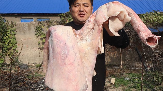 10元买了一个大牛肺，做个辣炒牛肺，香辣入味，下酒真不赖