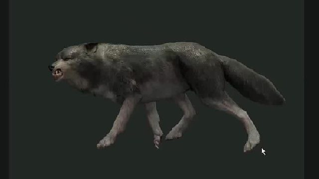 荒野的呼唤-打狼