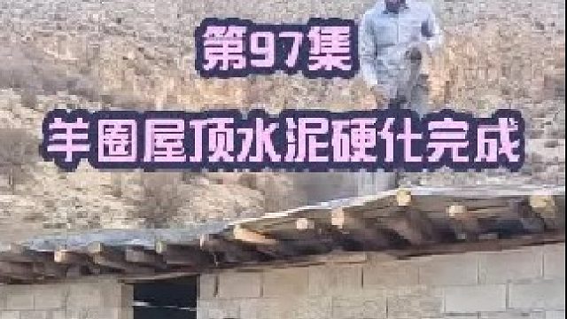 羊圈屋顶水泥硬化完成