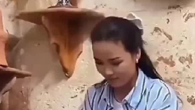 这就是天赋[赞]