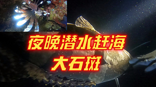 探海三箭客夜晚潜水赶海掏沉箱，抓海鲜回来做宵夜聚餐谈笑叙旧