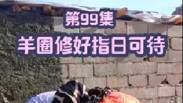 羊圈修好指日可待