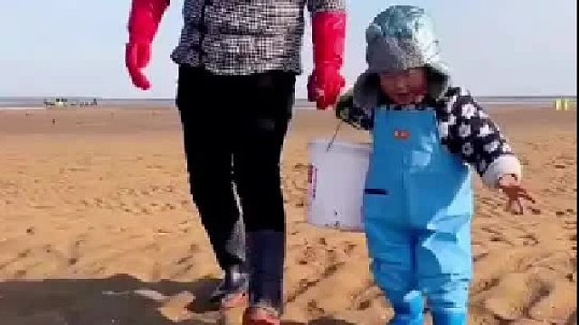户外赶海抓海鲜