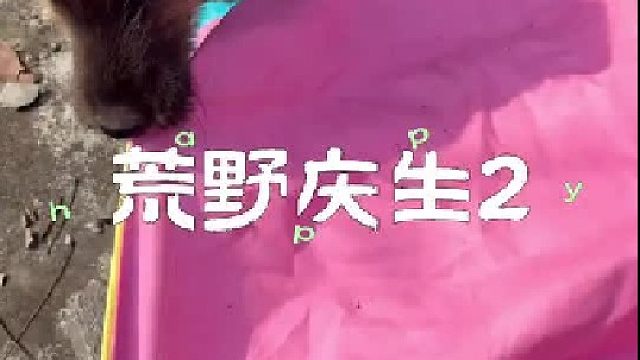 我们迎来了第一位宾客