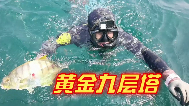 探海三剑客潜水打暗礁，老表蓄力爆发捕获黄金塔，鱼没上岸被抢买