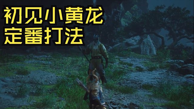 初见小黄龙百分百复刻定番打法