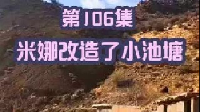米娜为大鹅和鸭子改造了小池塘