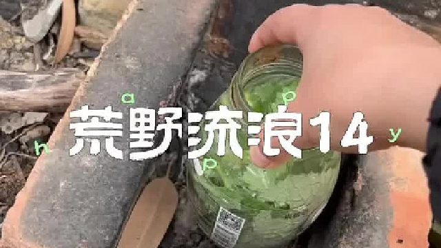 我又被小宝戏耍了