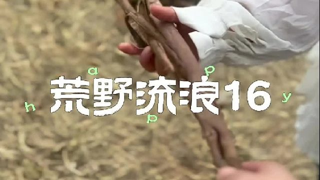 我们遇见了一座神秘“小屋”…