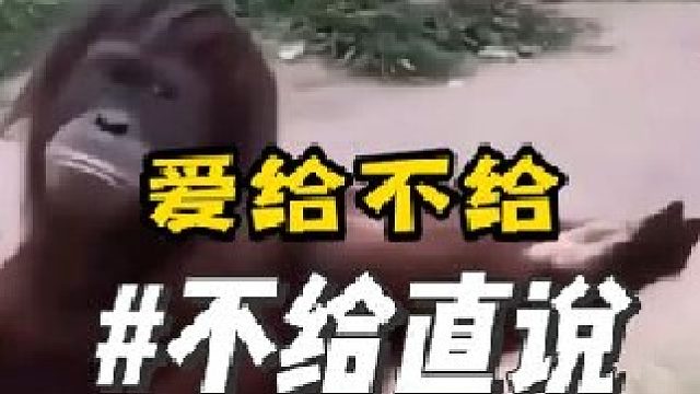 《不想给就直说 没必要真的没必要》