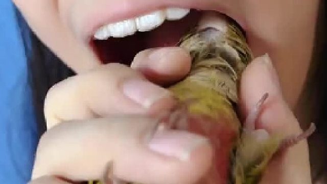 他真的会拔牙？以后买个