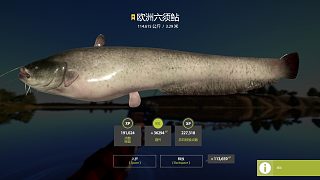 走走停停