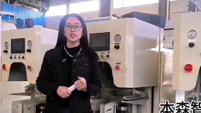 淀粉超声波热合封口阀口包装机