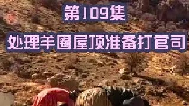 羊圈做防水处理 米娜准备打官司