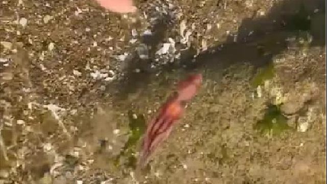 带你去体验渔民的生活