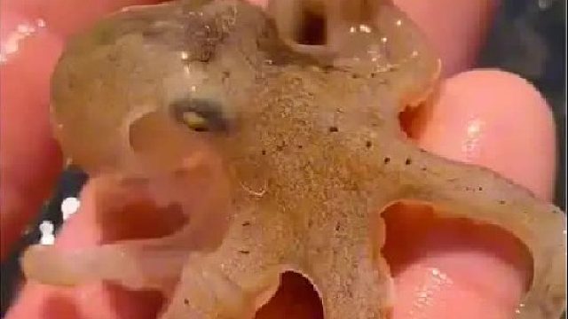 赶海赶海赶海啦