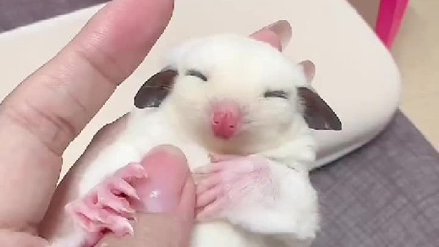 手指被当成抱枕了