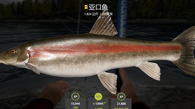 手竿星亚口，念念不忘，必有回响。只要想念，终会相见。