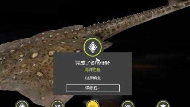 海图搬砖第二天——钝头鳐