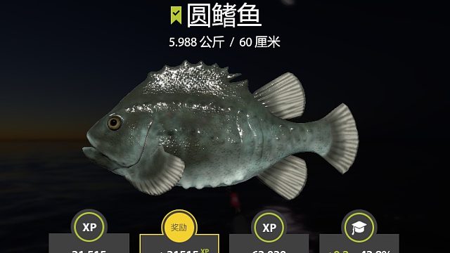 海图搬砖第一天——圆鳍鱼，一想起来就饱了