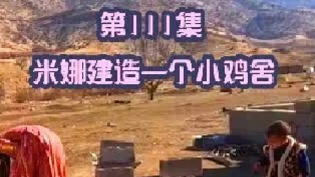 米娜建造一个小鸡舍准备孵小鸡