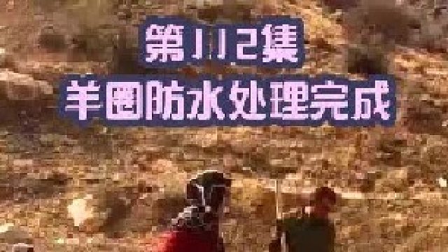 羊圈防水处理完成 地面平整完成准备养羊