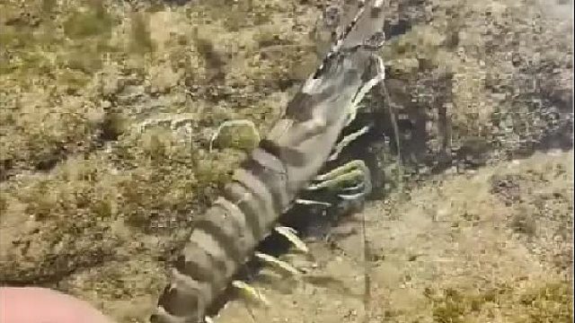 带你去体验渔民的生活