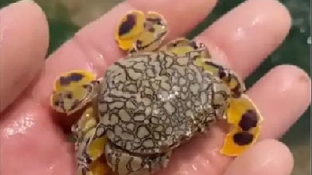 赶海赶海赶海啦