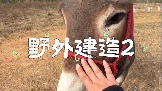 捡到了好多废铁，真是发大财了