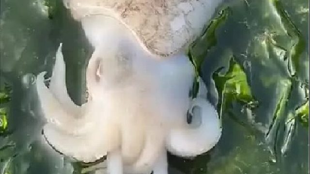 带你去体验渔民的生活