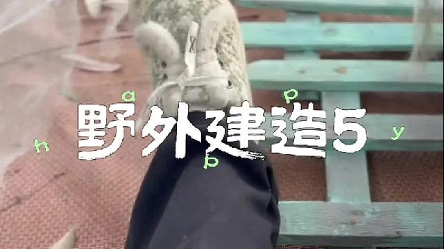 又开了辆车回去，屋子都快停不下了