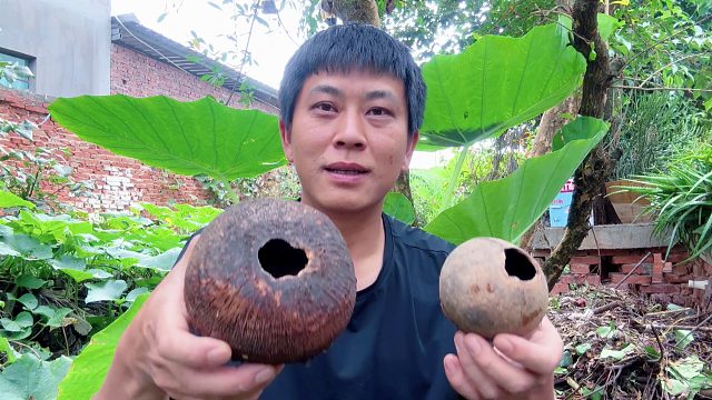 小伙独自一人在家，意外听见有叫声，你猜发现了啥？