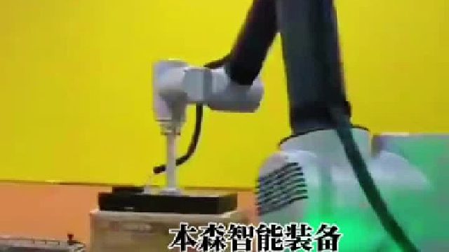 箱装食品双垛协作码垛机械手