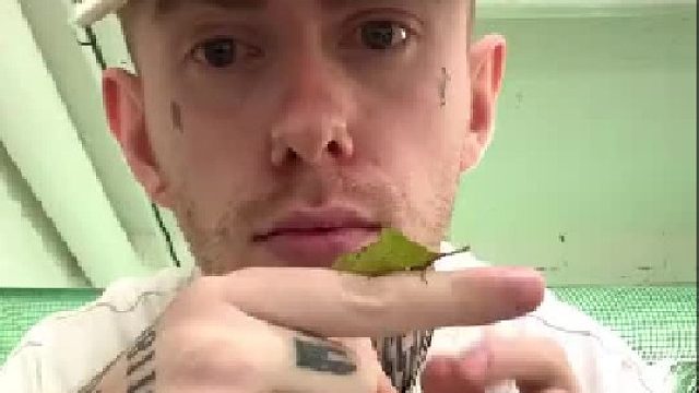 真的放他手上就能变大吗