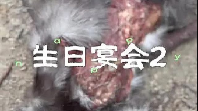 冬天遇到了危险