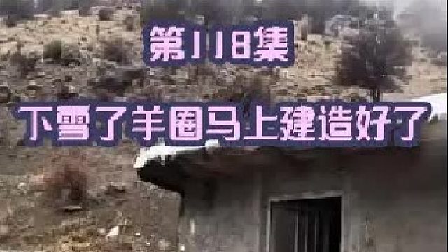 今天下雪了 羊圈马上建造好了搬进日期指日可待