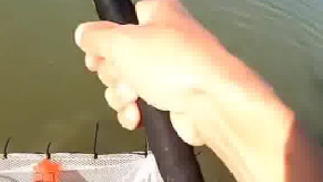 在路亚当中属于什么杆法？[泪奔][泪奔]