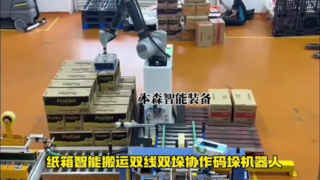 纸箱智能搬运双线双垛协作码垛机器人