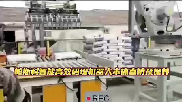 帕斯科智能高效码垛机器人本体