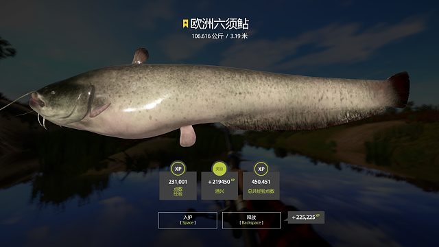 三得底轻星猪，水底真容易上星。