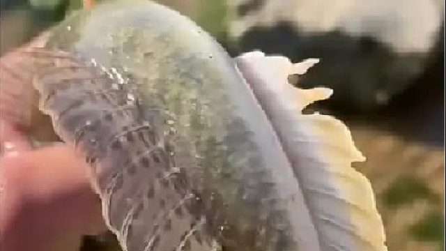 带你去体验渔民的生活